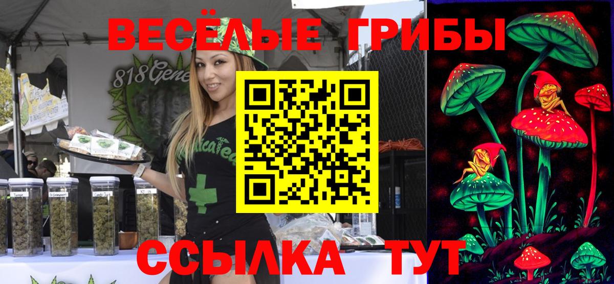 Псилоцибиновые грибы Psilocybine cubensis Избербаш