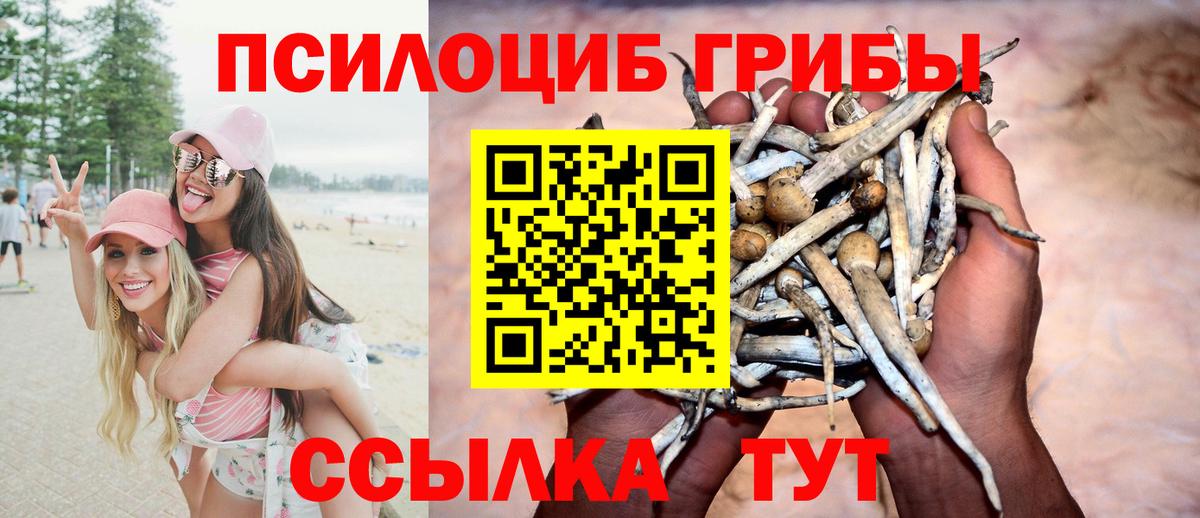 Псилоцибиновые грибы Magic Shrooms  Вход с VPN  Избербаш 